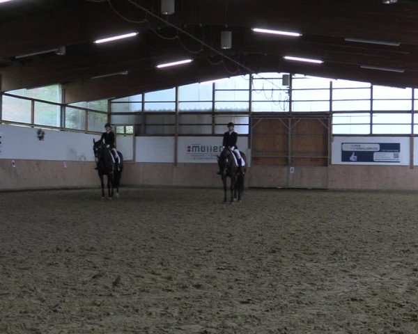Reitturnier Meinerzhagen 2022