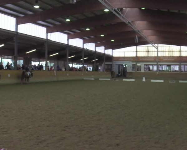 Reitturnier Appelhülsen 2022