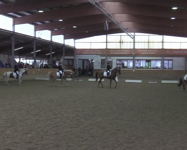Reitturnier Appelhülsen 2022