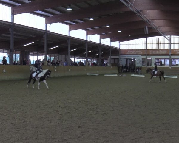 Reitturnier Appelhülsen 2022