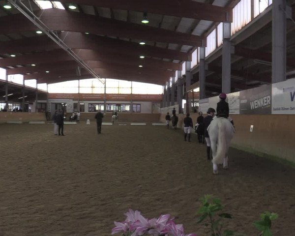 Reitturnier Appelhülsen 2022