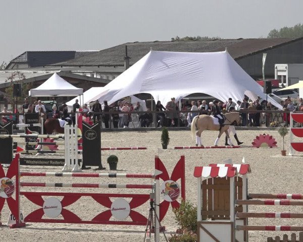 Reitturnier Leichlingen-Witzhelden 2022