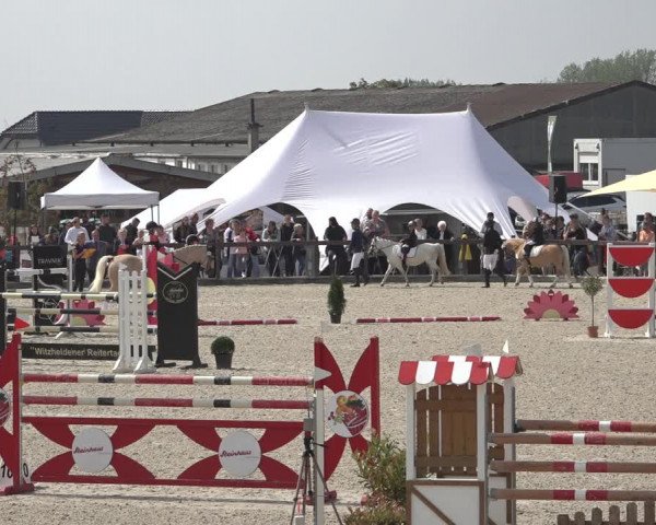 Reitturnier Leichlingen-Witzhelden 2022