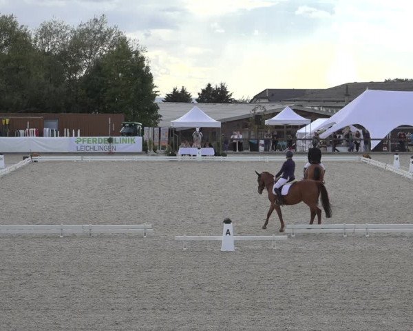 Reitturnier Leichlingen-Witzhelden 2022