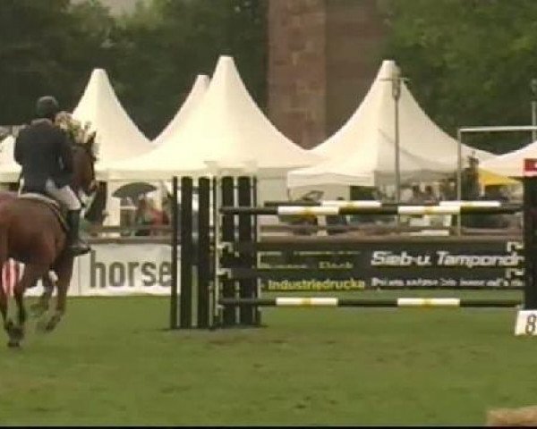 jumper Westorcan 2 (Hanoverian, 2000, from Wolkenstein II)