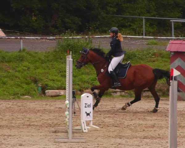 Reitturnier Lgl.-Oberhain, B95 2022
