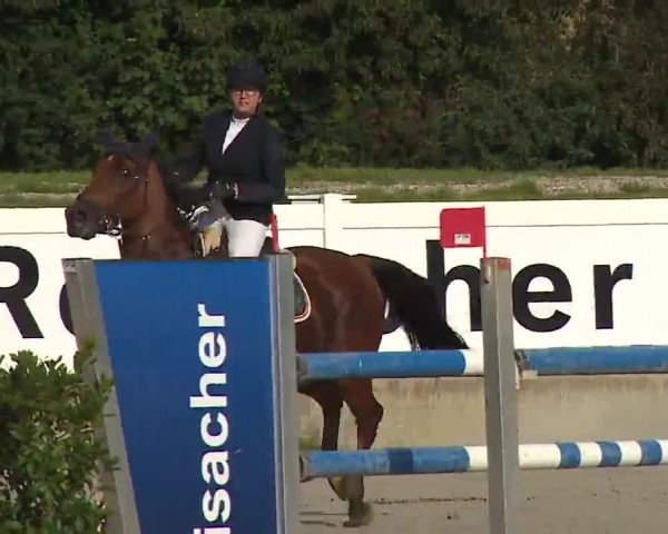 Reitturnier Babenhausen/Schw. 2022
