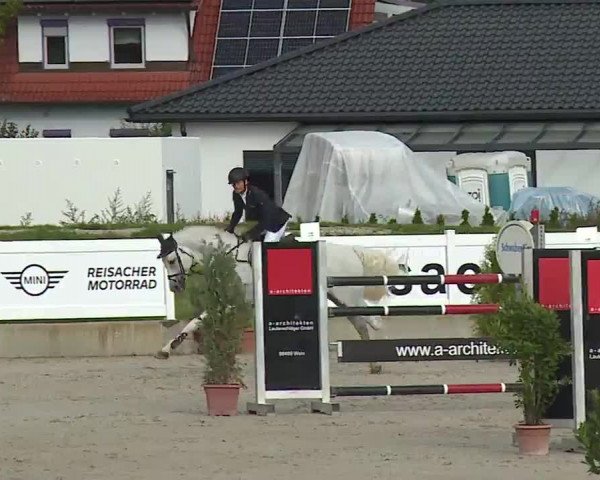 Reitturnier Babenhausen/Schw. 2022