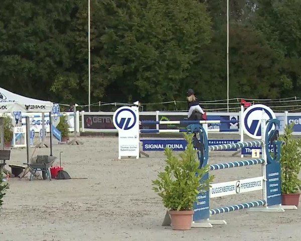 Reitturnier Babenhausen/Schw. 2022