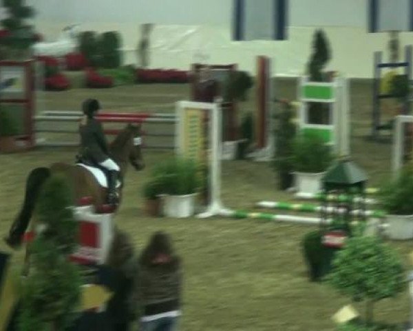 Springpferd Ghost Casper (Nederlands Rijpaarden en Pony, 1995, von Casper)