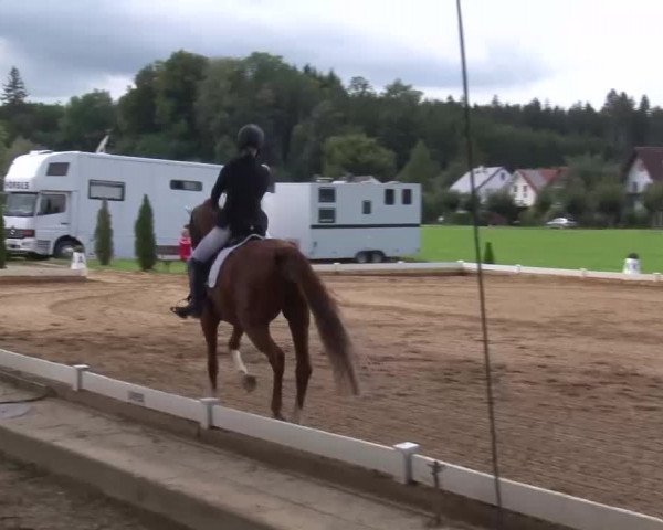 Reitturnier Babenhausen/Schw. 2022