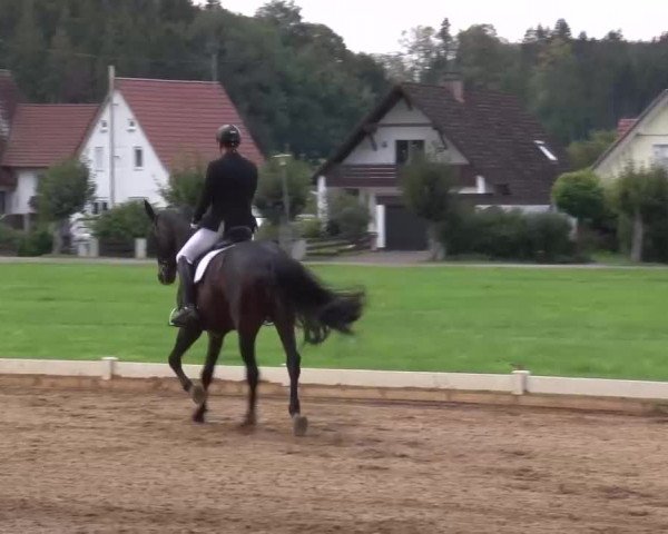 Reitturnier Babenhausen/Schw. 2022