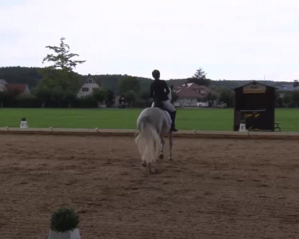 Reitturnier Babenhausen/Schw. 2022
