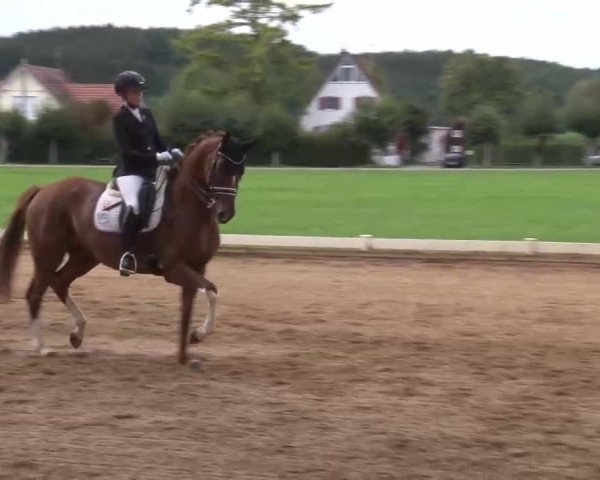 Reitturnier Babenhausen/Schw. 2022