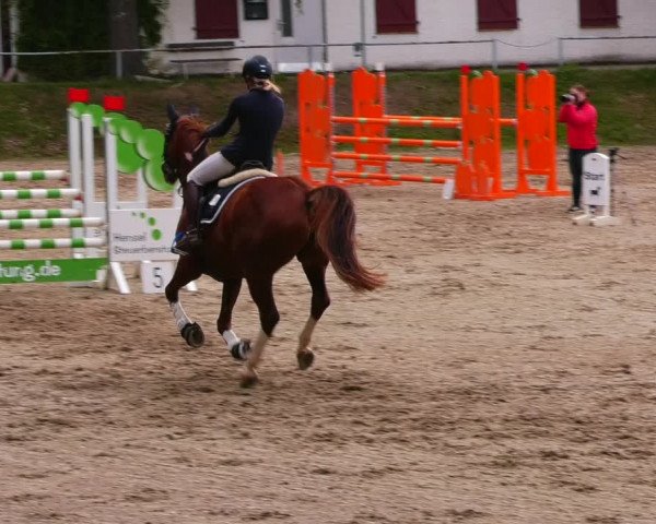 Reitturnier Lgl.-Oberhain, B95 2022