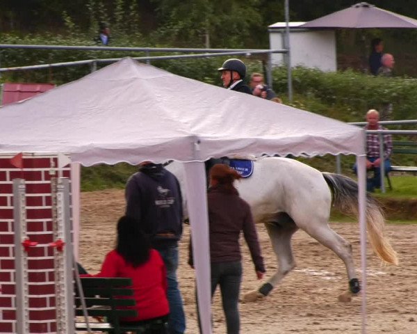 Reitturnier Lgl.-Oberhain, B95 2022