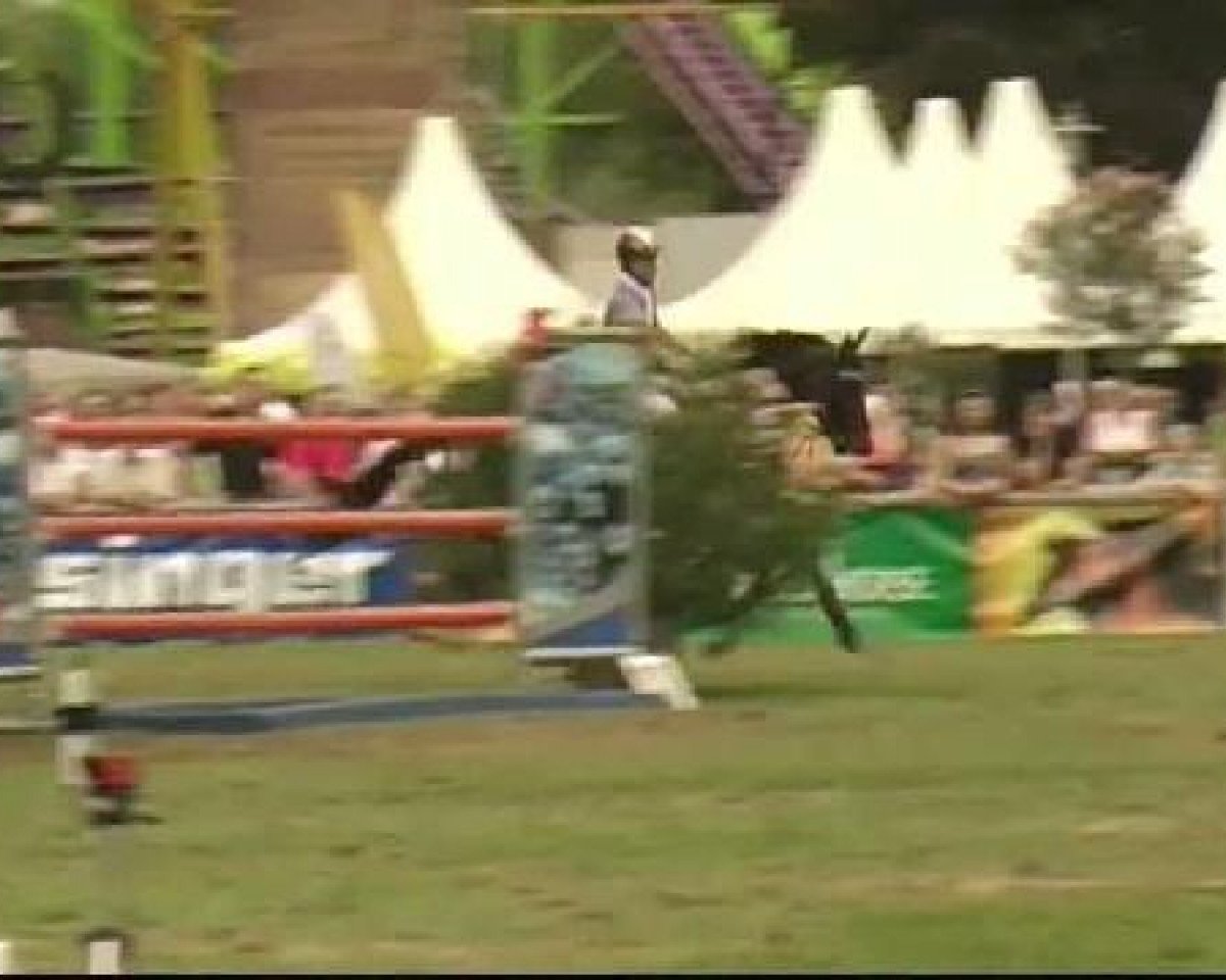 broodmare Silence Song (Hanoverian, 2001, from Sandro Song)