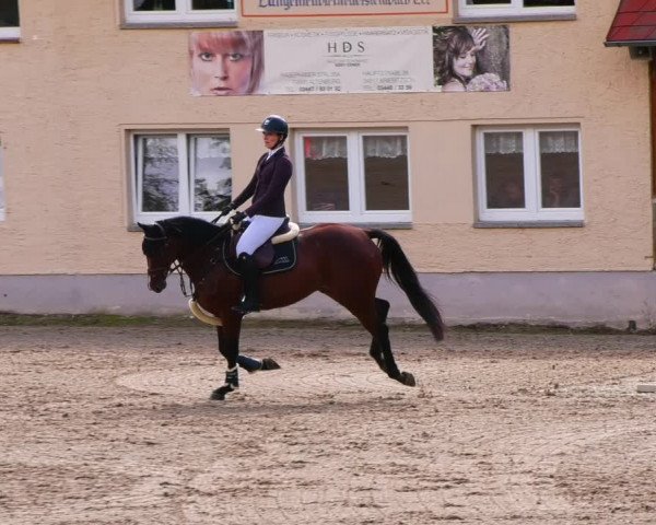Reitturnier Lgl.-Oberhain, B95 2022