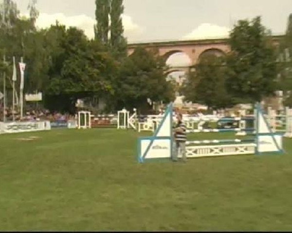 jumper Larry 179 (Holsteiner, 2002, from Limbus)