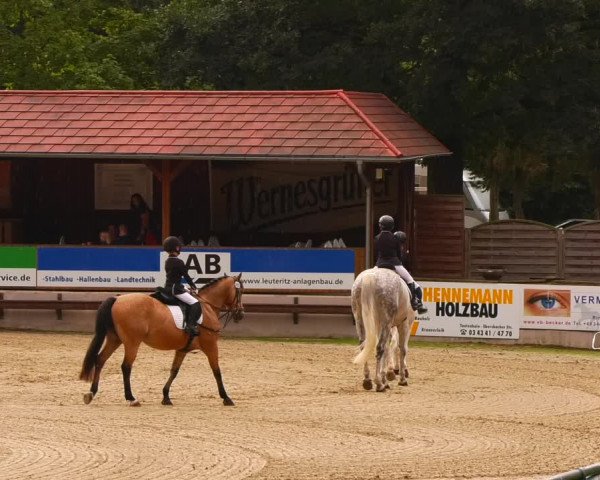 Reitturnier Lgl.-Oberhain, B95 2022