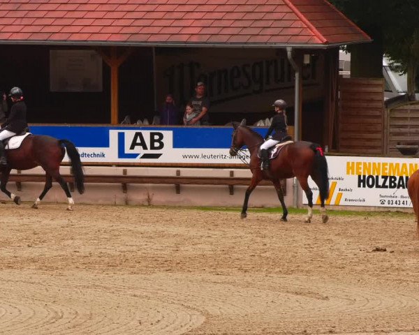 Reitturnier Lgl.-Oberhain, B95 2022