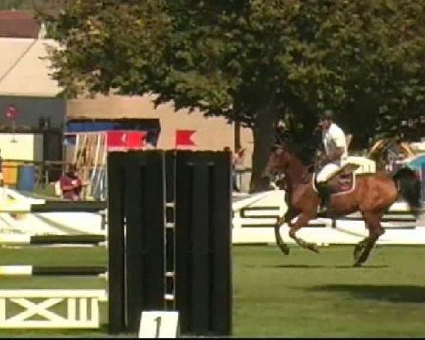 jumper Loucado 2 (Holsteiner, 2002, from Le Grand II)