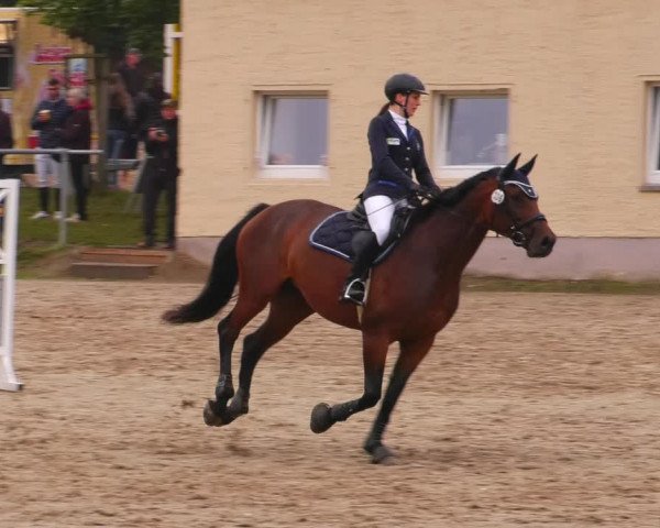 Reitturnier Lgl.-Oberhain, B95 2022