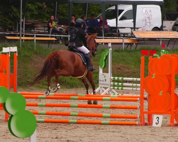 Reitturnier Lgl.-Oberhain, B95 2022