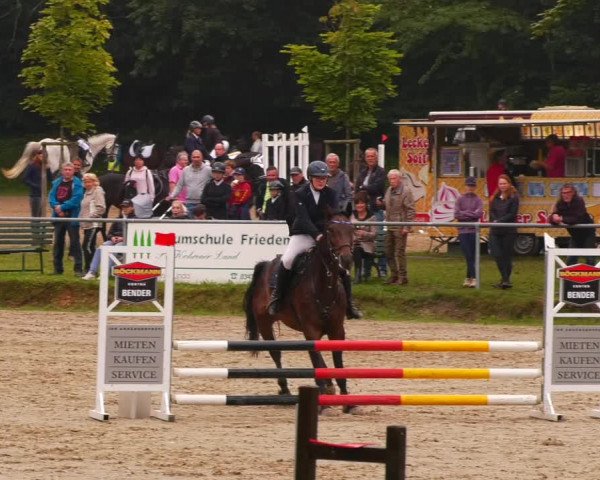 Reitturnier Lgl.-Oberhain, B95 2022