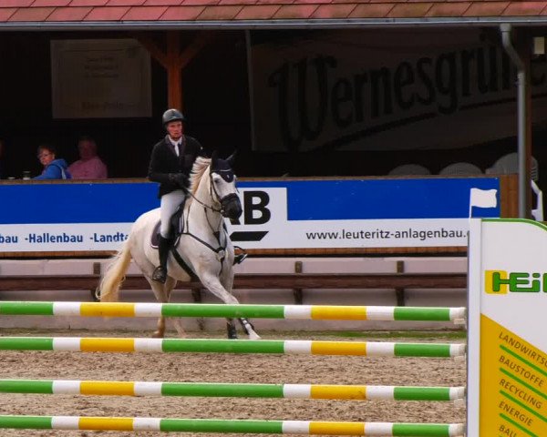 Reitturnier Lgl.-Oberhain, B95 2022