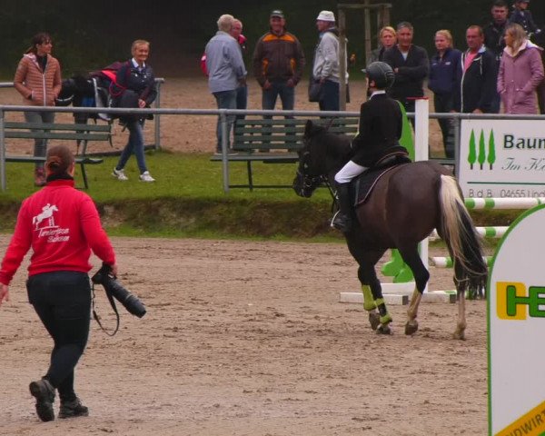 Reitturnier Lgl.-Oberhain, B95 2022
