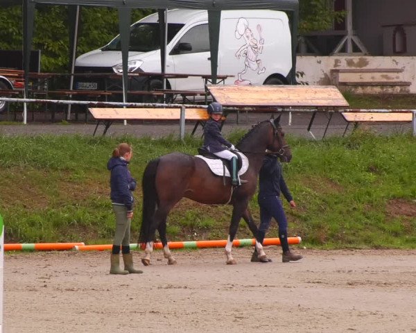Reitturnier Lgl.-Oberhain, B95 2022