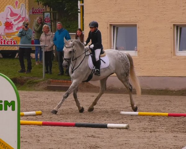 Reitturnier Lgl.-Oberhain, B95 2022