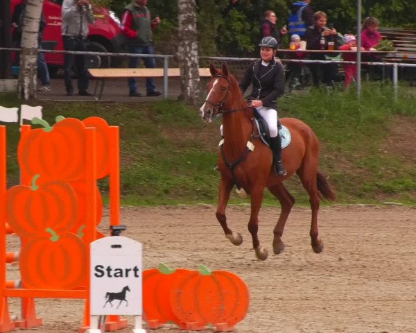 Reitturnier Lgl.-Oberhain, B95 2022