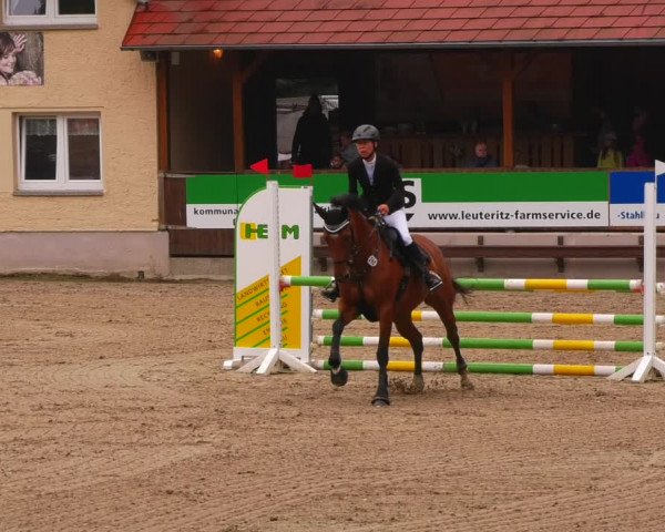 Reitturnier Lgl.-Oberhain, B95 2022