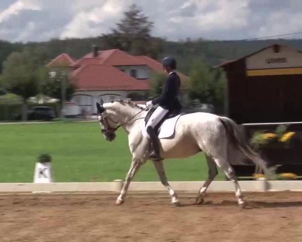 Reitturnier Babenhausen/Schw. 2022