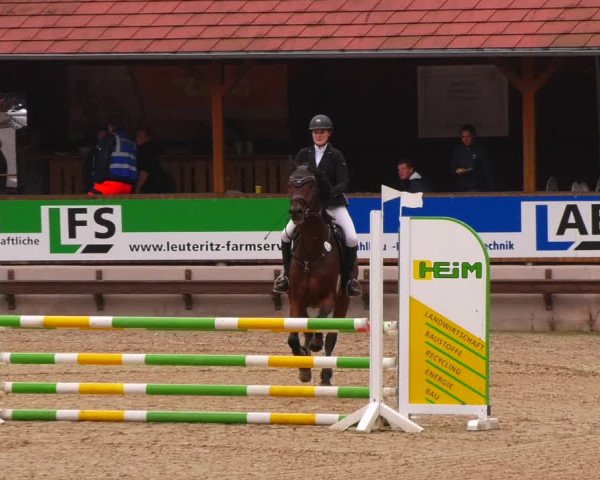 Reitturnier Lgl.-Oberhain, B95 2022