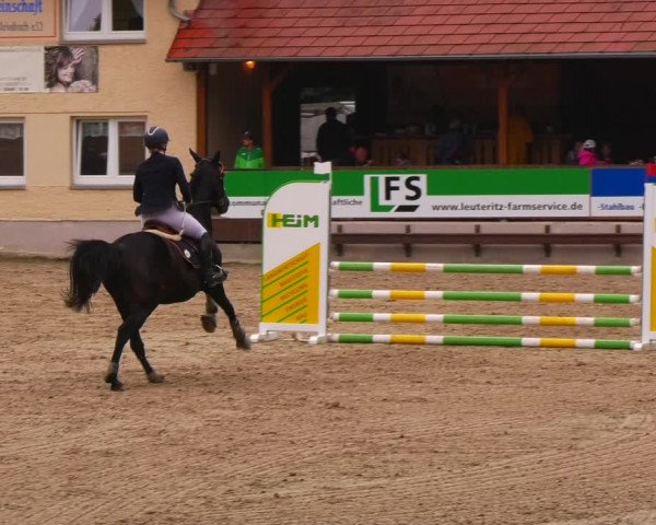 Reitturnier Lgl.-Oberhain, B95 2022
