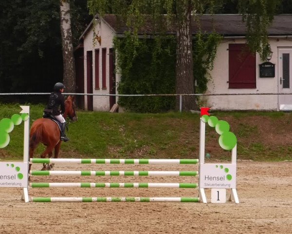 Reitturnier Lgl.-Oberhain, B95 2022