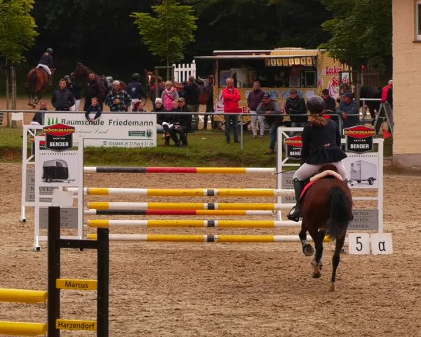 Reitturnier Lgl.-Oberhain, B95 2022