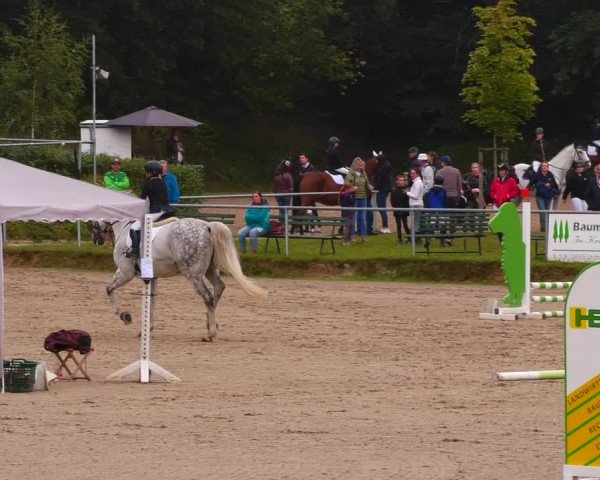 Reitturnier Lgl.-Oberhain, B95 2022