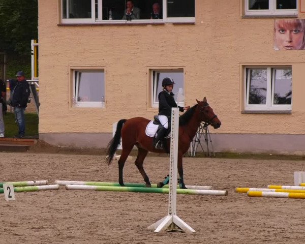 Reitturnier Lgl.-Oberhain, B95 2022