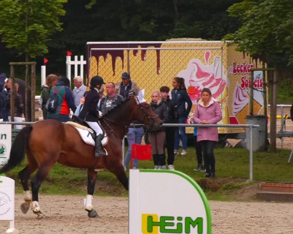 Reitturnier Lgl.-Oberhain, B95 2022