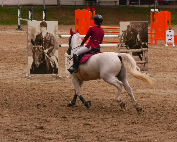 Reitturnier Lgl.-Oberhain, B95 2022