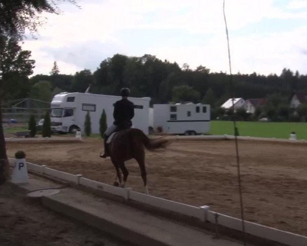 Reitturnier Babenhausen/Schw. 2022