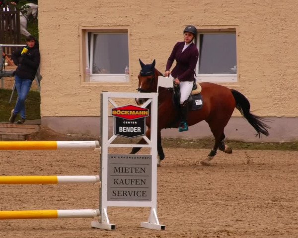 Reitturnier Lgl.-Oberhain, B95 2022