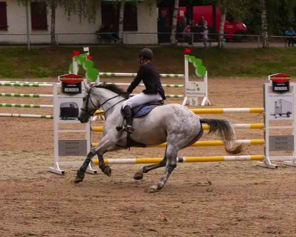 Reitturnier Lgl.-Oberhain, B95 2022
