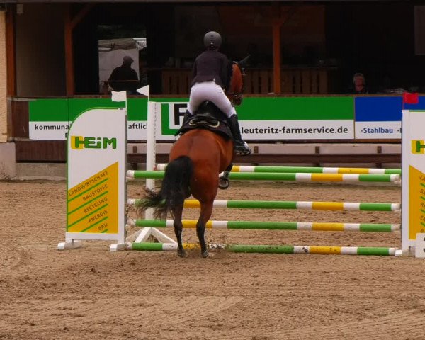 Reitturnier Lgl.-Oberhain, B95 2022