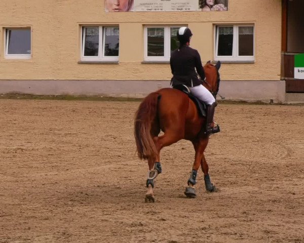 Reitturnier Lgl.-Oberhain, B95 2022