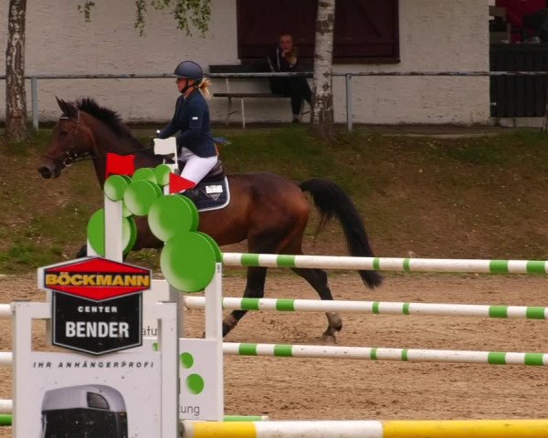 Reitturnier Lgl.-Oberhain, B95 2022
